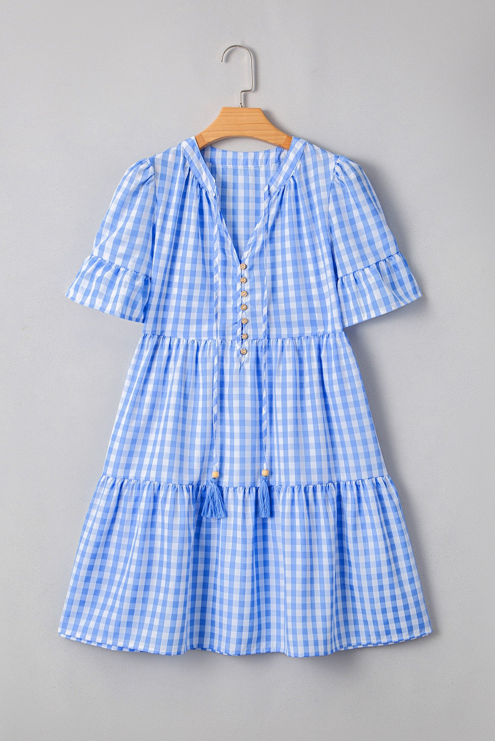 Blue Gingham Dress LT