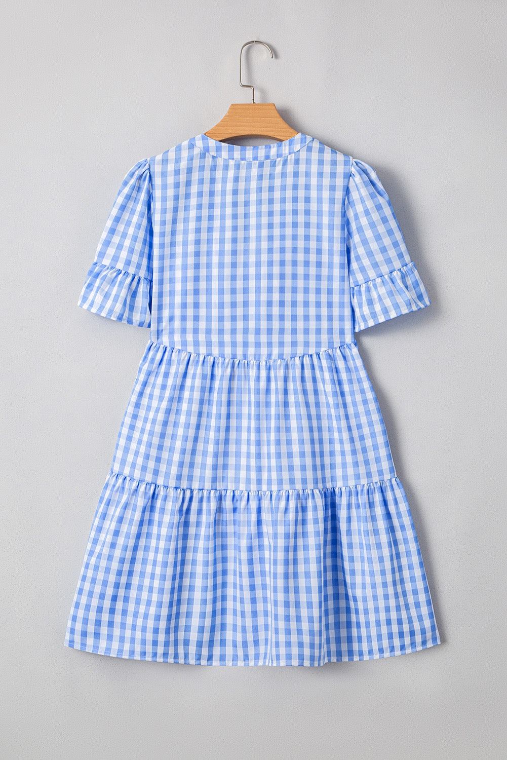 Blue Gingham Dress LT